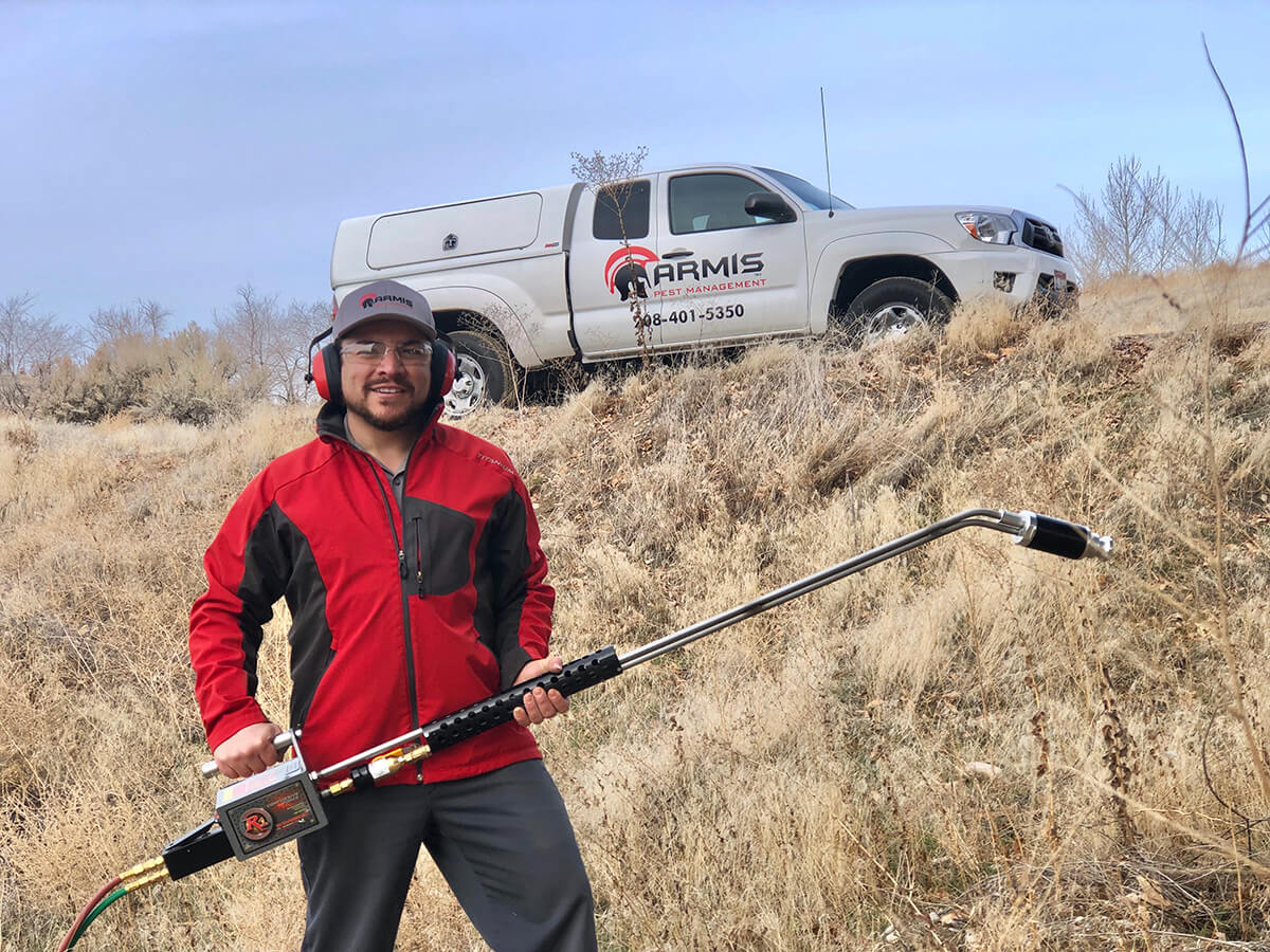 Pest Control Treasure Valley